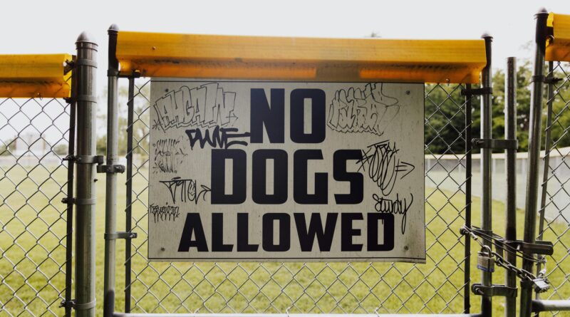 MGI estabelece normas para uso de IA e governança a partir de 2024