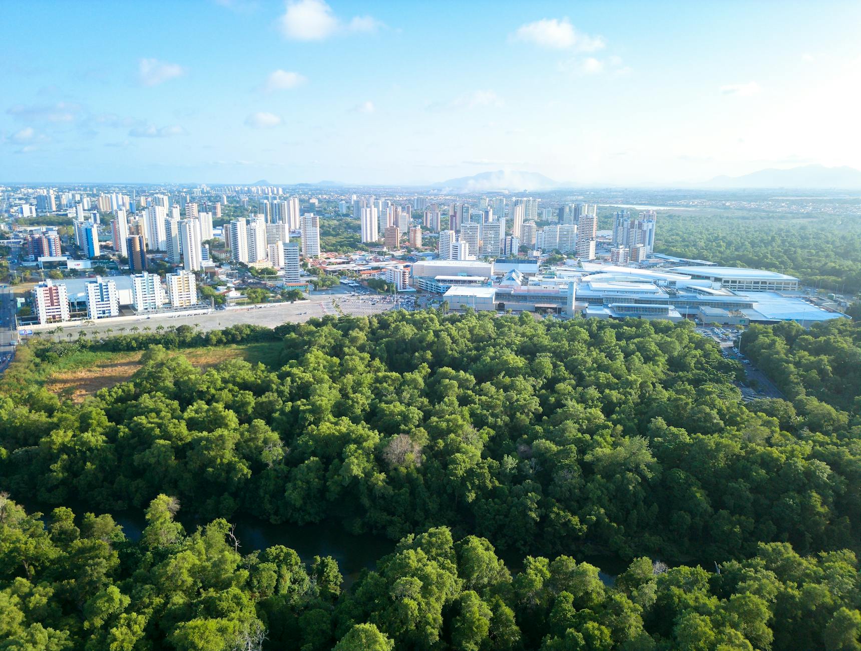 Empresas brasileiras abraçam sustentabilidade: 76% adotam práticas ESG