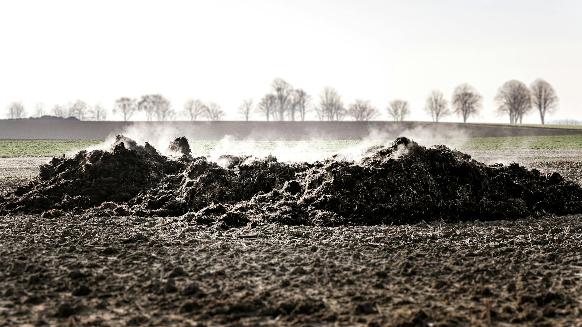 Pressão russa: crise no Estreito de Ormuz impulsiona uso de fertilizantes como ferramenta de influência